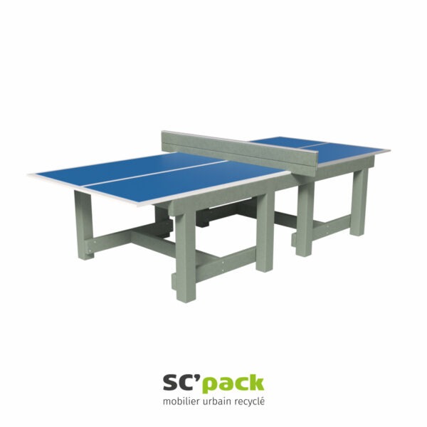 Table de ping-pong